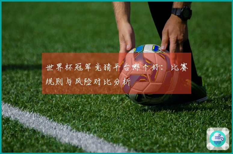 世界杯冠军竞猜平台哪个好：比赛规则与风险对比分析