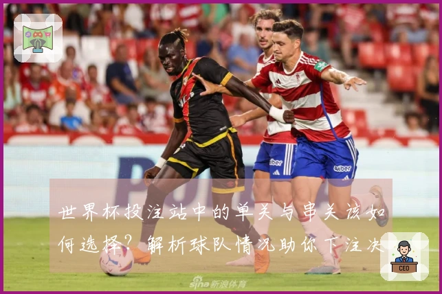 世界杯投注站中的单关与串关该如何选择？解析球队情况助你下注决策