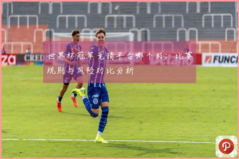 世界杯冠军竞猜平台哪个好：比赛规则与风险对比分析