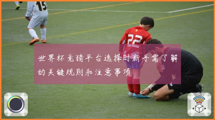 世界杯竞猜平台选择时新手需了解的关键规则和注意事项
