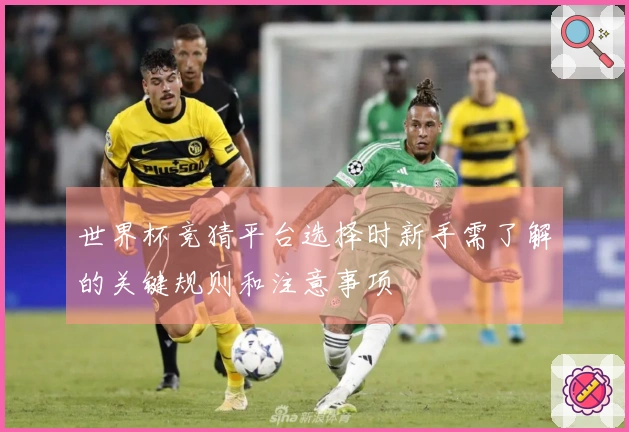 世界杯竞猜平台选择时新手需了解的关键规则和注意事项